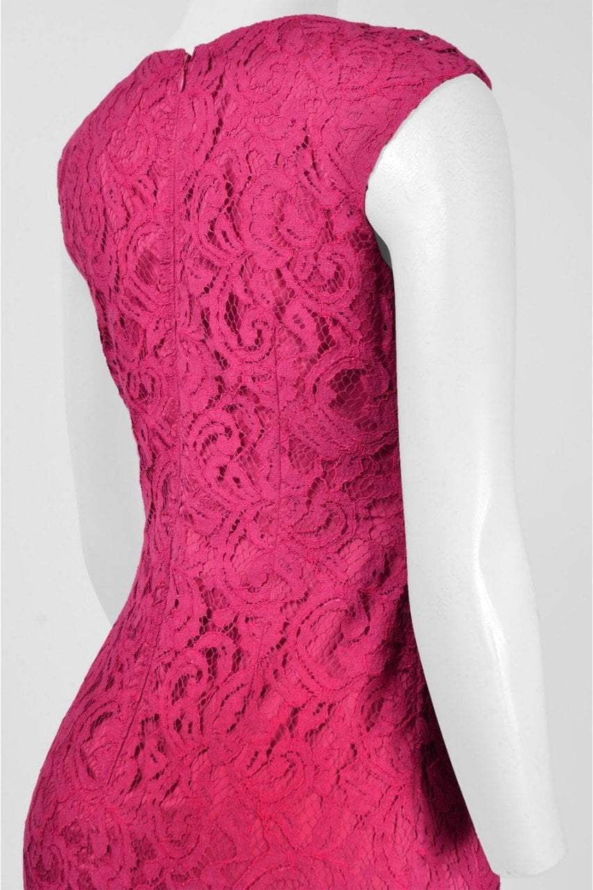 Adrianna Papell - Notched Shirred Lace Dress 15241840SC