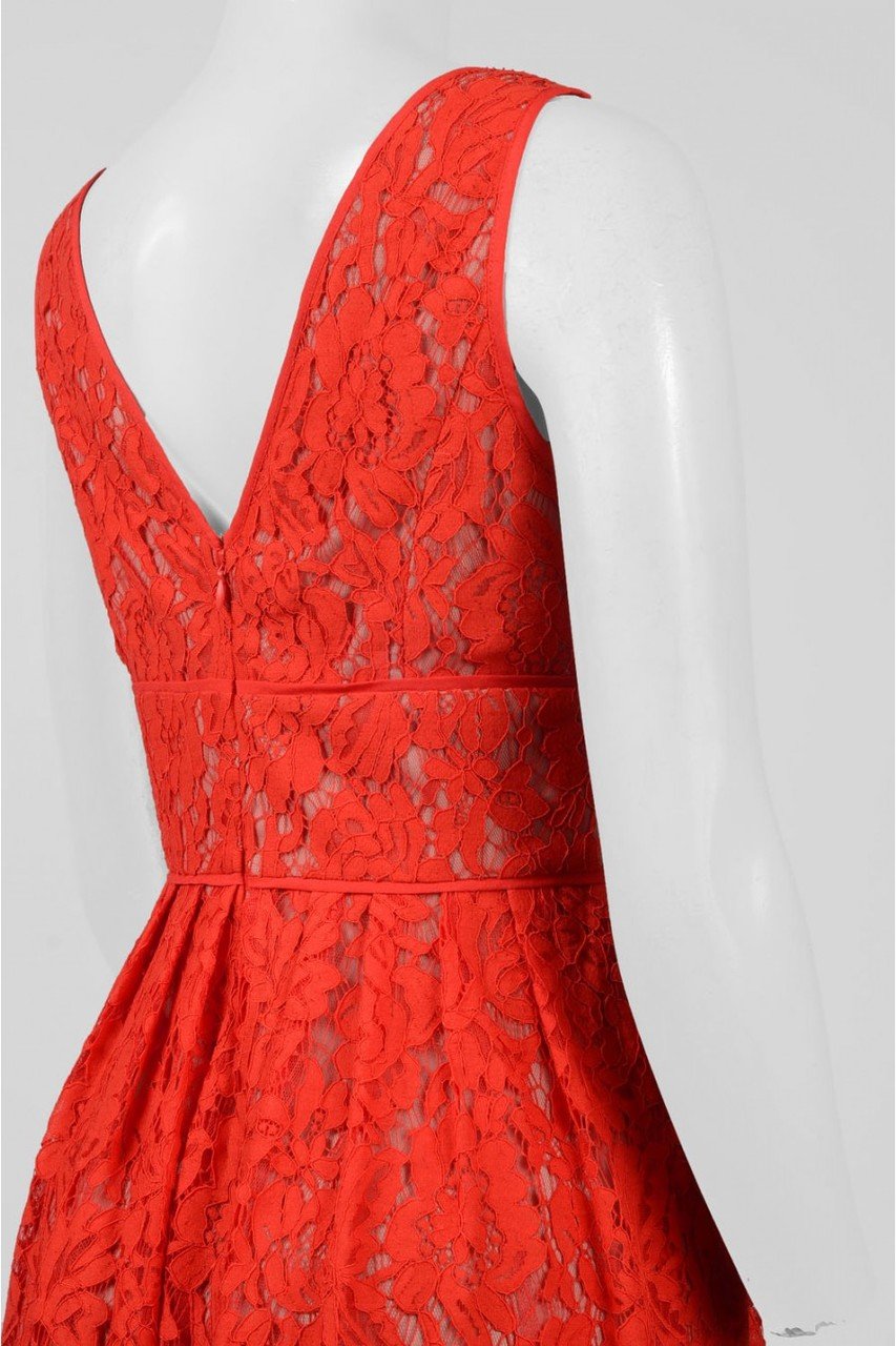 Adrianna Papell - Sleeveless V Neck Lace A-line Dress AP1D101098SC