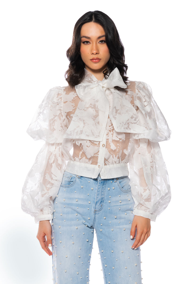 LOOKING LIKE THIS SHEER BLOUSE