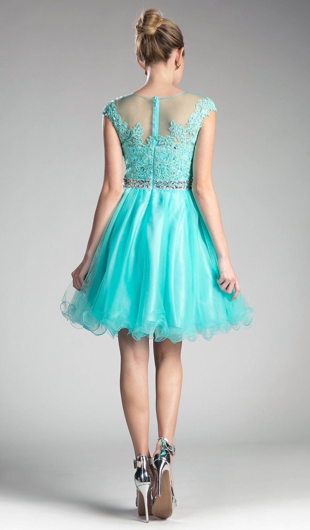 Adorned Lace Illusion Jewel A-Line Dress